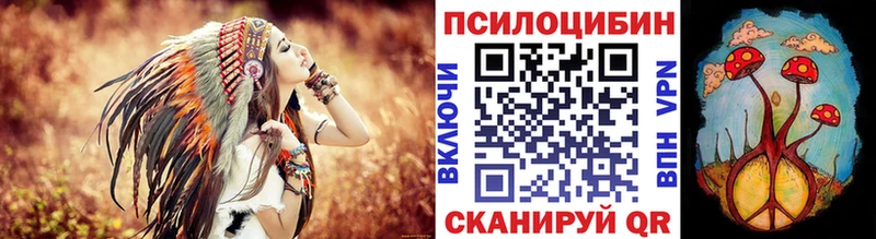 гидра   где продают   Можайск  Галлюциногенные грибы Psilocybine cubensis 